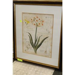 LARGE FRAMED FLORAL PRINT