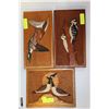 Image 1 : THREE SIGNED WOOD CARVING PICTURES OF WOODPECKERS,