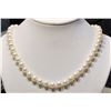 Image 1 : FRESHWATER WATER PEARL NECKLACE