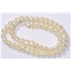Image 2 : STERLING SILVER CLASP FRESHWATER PEARL NECKLACE