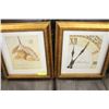 Image 1 : PAIR OF GOLD TONE FRAMED SHOWHOME PICTURES