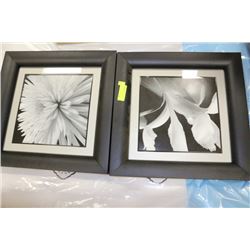 SHOWHOME 2 PC BLACK FRAMED FLOWER PICTURES