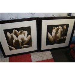 PAIR OF FRAMED SHOWHOME FLOWER PICTURES