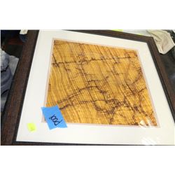 SHOWHOME FRAMED PICTURE