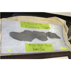 TRIOLIBITE FOSSILS MOUNTED ON MARBLE PLAQUE