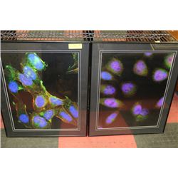 SET OF 2 ABSTRACT PRINTS