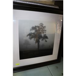 SHOWHOME LARGE TREE FOG PICTURE