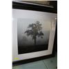 Image 1 : SHOWHOME LARGE TREE FOG PICTURE