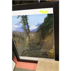 FRAMED PRINT OF MOTHER BEAR & CUB BY J. STONE