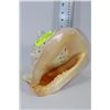 Image 1 : CONCH SEASHELL