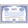 Image 1 : PayPal, Inc. Specimen Stock Certificate - Pre-eBay.