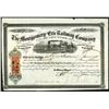 Image 1 : Montgomery and Erie Railway Co. of New York  1867 Stock Certificate.