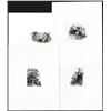Image 1 : Proof Vignettes group.