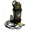 Image 1 : GORMAN RUPP S2C3A SUBMERSIBLE PUMP 115 VOLTS 6.8 AMPS