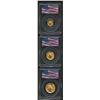Image 1 : A Lot of (3) 2001 American Gold Eagle coins, one each of the Tenth Ounce, Quarter Ounce, and Half Ou