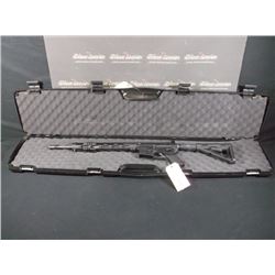 PALMETTO P-15 MULTI AR RIFLE, FLOATING HAND GUARD, CASE, S/N: AP0000777 (print sequence:) 10