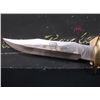 Image 3 : WILD WEST BOWIE KNIFE #5 "KIT CARSON" - STAINLESS STEEL