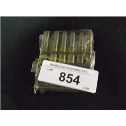 CLIP: 6 UNKNOWN SHELLS