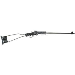 _NEW!_ CHIAPPA FIREARMS LITTLE BADGER 17 HMR 8053670712072