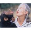 Image 1 : Jane Goodall