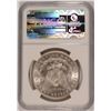 Image 4 : 1889 MORGAN SILVER DOLLAR, NGC MS-64+ BLAST WHITE