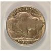Image 3 : 1913 (TYPE 2) BUFFALO NICKEL PCGS MS-64 (OGH)