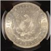 Image 3 : 1886 MORGAN DOLLAR NGC MS-63