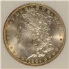 Image 2 : 1901-O MORGAN DOLLAR NGC MS-63