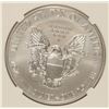 Image 3 : 2013 W AMERICAN SILVER EAGLE NGC MS-70 EARLY RELEASE