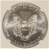 Image 3 : 2013 (W) AMERICAN SILVER EAGLE NGC MS-70 EARLY RELEASE