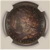 Image 2 : 1884-S MORGAN SILVER DOLLAR, NGC UNC. DETAILS ( ARTIFICIAL TONING )  RARE!!!