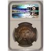 Image 4 : 1884-S MORGAN SILVER DOLLAR, NGC UNC. DETAILS ( ARTIFICIAL TONING )  RARE!!!