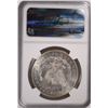 Image 4 : 1878 7/8 TF STRONG MORGAN SILVER DOLLAR, NGC MS-64+  BLAST WHITE  LOOKS 65