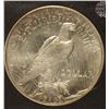 Image 3 : 1921 PEACE SILVER DOLLAR, CCGS MS-64  FLASHY!