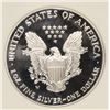 Image 3 : 2007-W PROOF SILVER AMERICAN EAGLE NGC PF-70 !!!! UC (EARLY RELEASE)