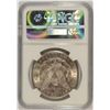 Image 3 : 1895-S MORGAN DOLLAR NGC MS-62