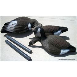 12 GOOSE DECOY SHELLS