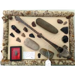 Paleo Relics Collection to include Ancient Bison Vertebrae
