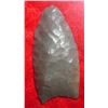 Image 2 : Paleo Relics Collection to include Ancient Bison Vertebrae