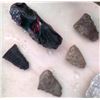 Image 3 : Paleo Relics Collection to include Ancient Bison Vertebrae