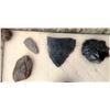 Image 7 : Paleo Relics Collection to include Ancient Bison Vertebrae