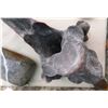 Image 8 : Paleo Relics Collection to include Ancient Bison Vertebrae