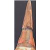 Image 8 : Northwest Coast Style Raven Rattle