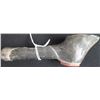 Image 7 : Northwest Coast Clay Pipe