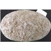 Image 2 : Grooved Steatite Maul