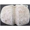 Image 5 : Grooved Steatite Maul