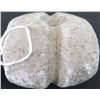 Image 6 : Grooved Steatite Maul