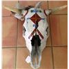 Image 1 : Painted Steer Skull