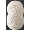 Image 9 : Bi-Concave Stirrup Style Pestle