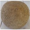 Image 3 : Large Discoidal Game Stone